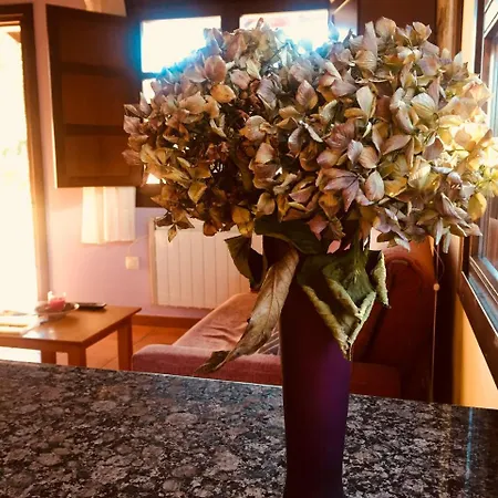 아파트 Rurales Azabache 비야비시오사