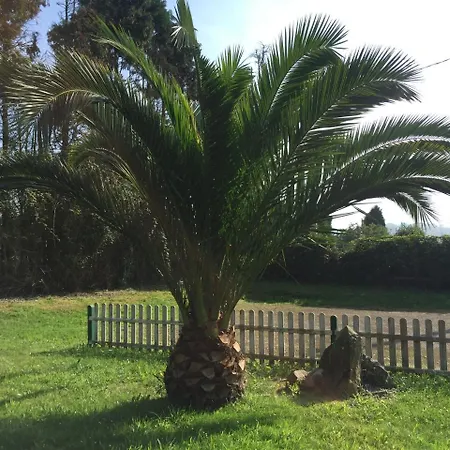 Rurales Azabache * Villaviciosa (Asturias)