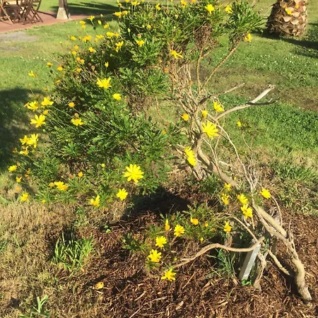 Apartment Rurales Azabache