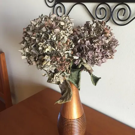 Rurales Azabache Apartment *