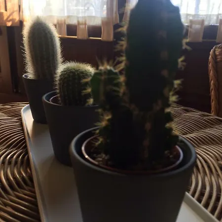 Rurales Azabache * Villaviciosa (Asturias)